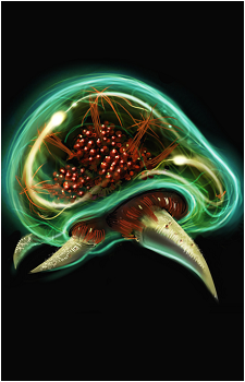 Metroid
