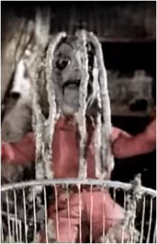 Corey Taylor