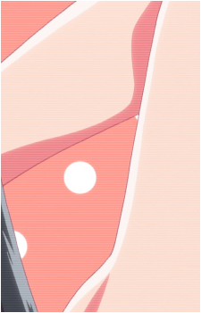 Image 41