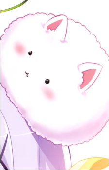 Tippy's image