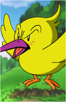 Tokkori's image