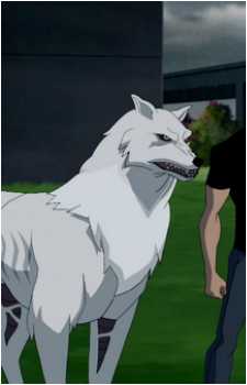 Wolf {YJ}'s image