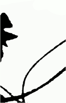 Koishi Komeiji