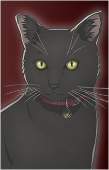 Black Cat {AD}'s image