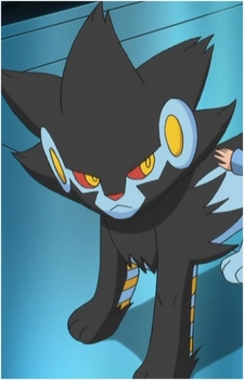 Image 57