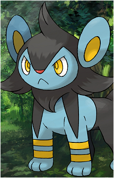 Shinx
