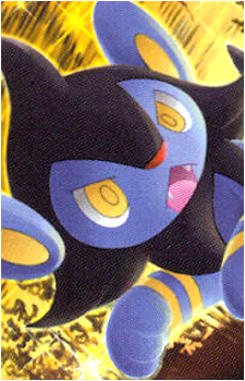 Image 39