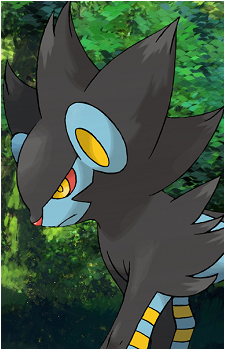 Shinx
