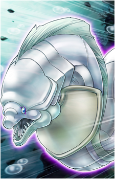 White Moray's image