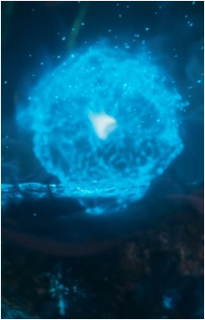 Image 3 Image 3