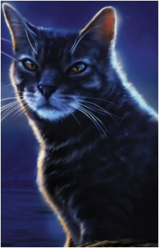 Hawkwing's image