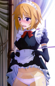 Charlotte Dunois