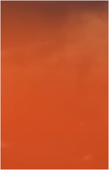 Image 31