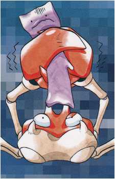 Image 21
