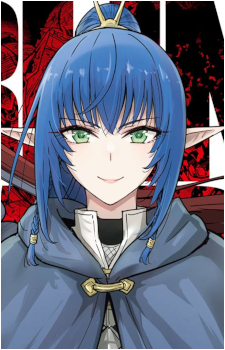 Elf Swordswoman
