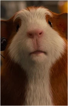 Darwin