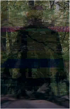 The Glitch {VHS}'s image