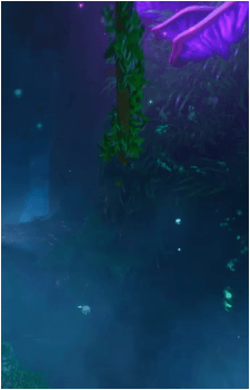 Image 29