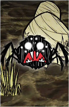 Spider's image