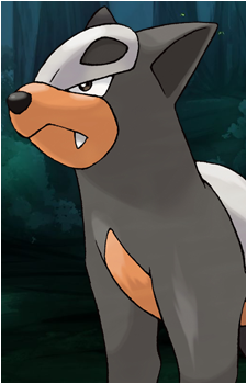 Houndour's image