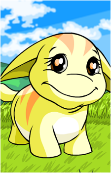 Poogle's image