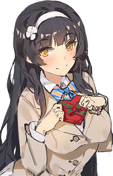 Type 95