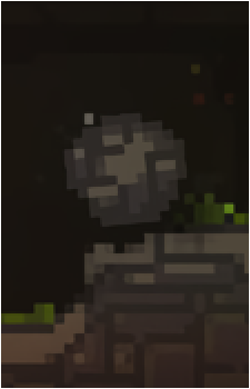Kivi's image
