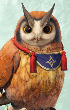 Cohoot