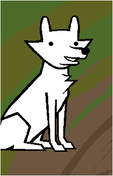 Halley's image