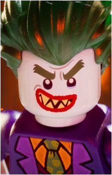 Image 16 of The Joker