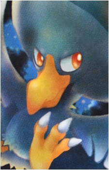 Image 31