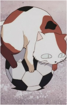 Buyo