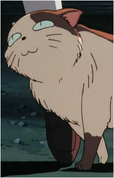 Buyo