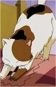 Buyo