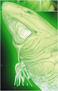 Ion's image