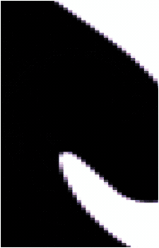 Image 17