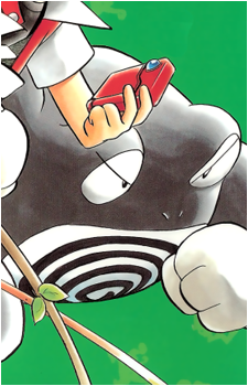 Poli's image