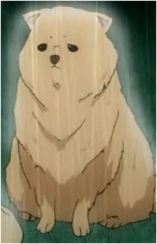 Choco's image