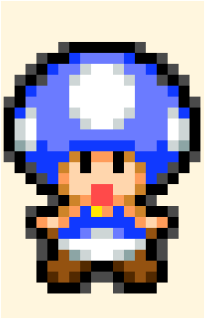 Hide-and-Seek Toad