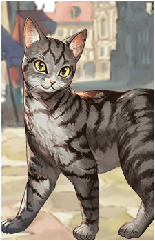 Young Cat's image