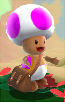 Mailtoad's image