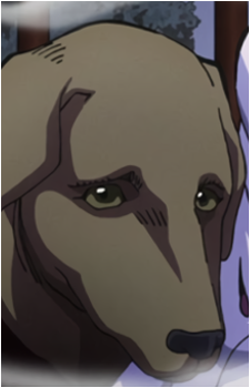 Arnold's image