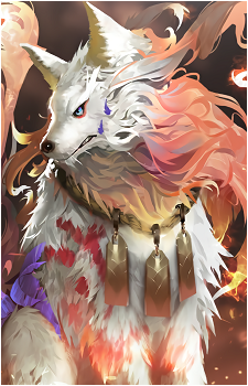 Koll's image