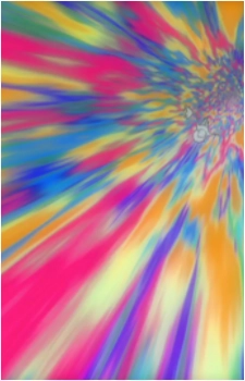 Image 24