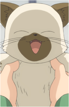 Piro's image