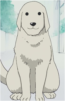 Tadakichi-san's image