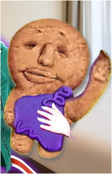 Havana Cookie