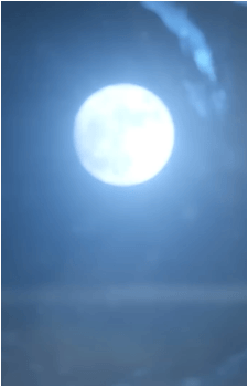 Image 38