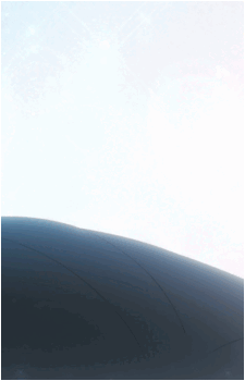Seiya Hidaka