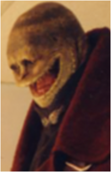 Toad {1993}